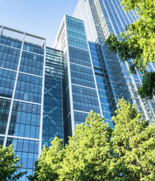 1753856193057.jpg image003.jpg