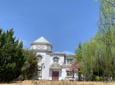 1750233576503.jpg image006.jpg