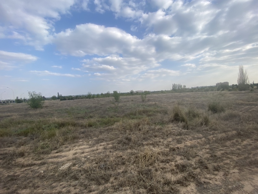 1745827617128.jpg image002.jpg