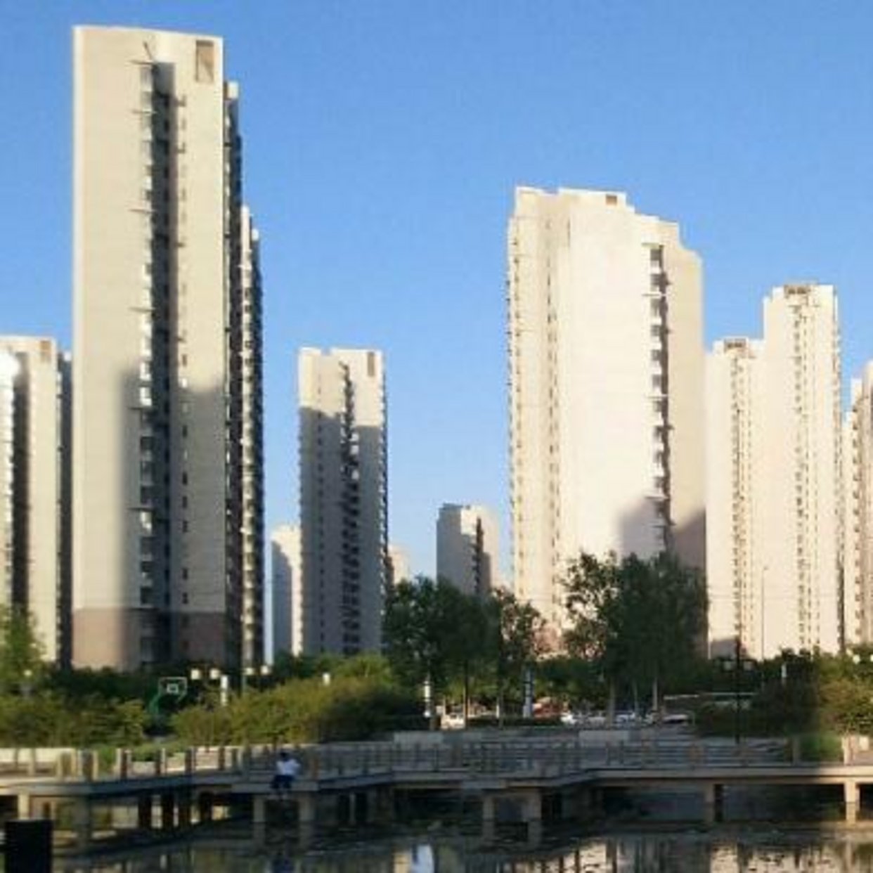 1735107681488.jpg image008.jpg